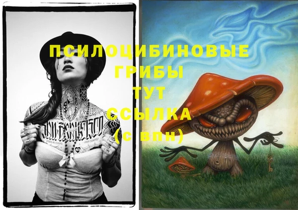 a pvp Магас