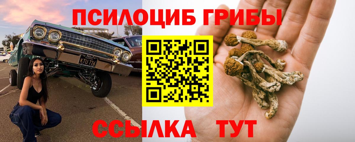 Миллерово  Галлюциногенные грибы мухоморы  Вход с VPN 